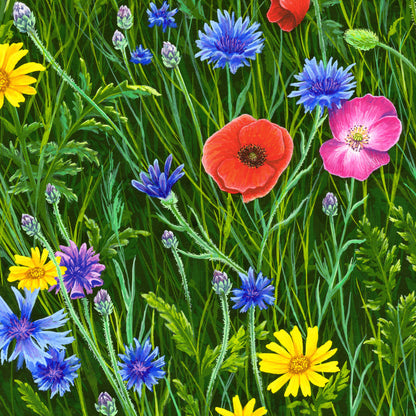 Among Wildflowers