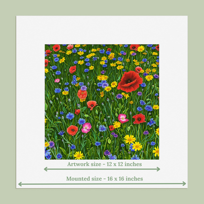 Among Wildflowers