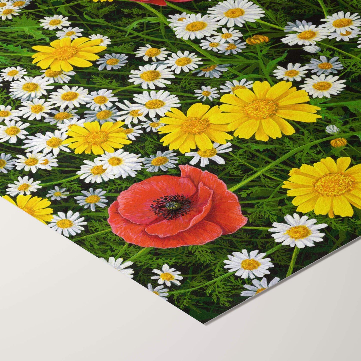 Face The Sun Print