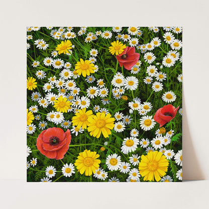 Face The Sun Print
