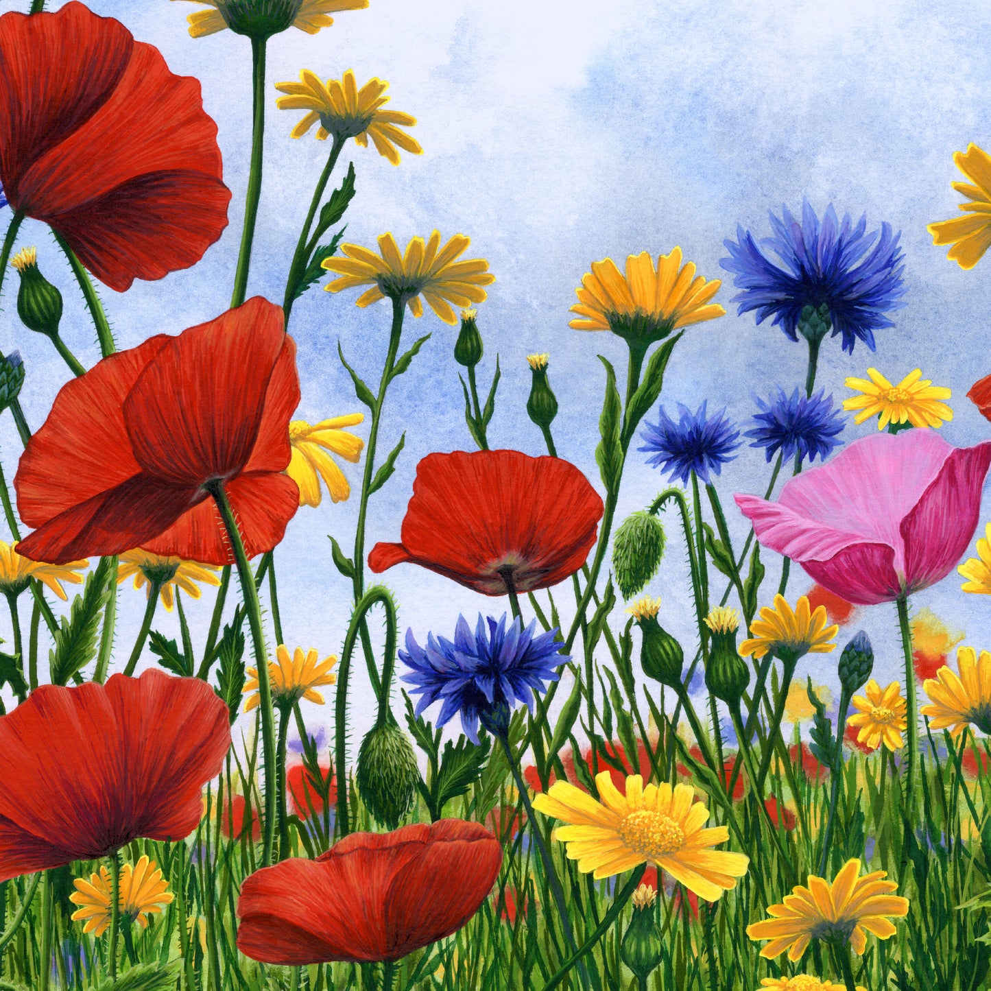 Flower Power