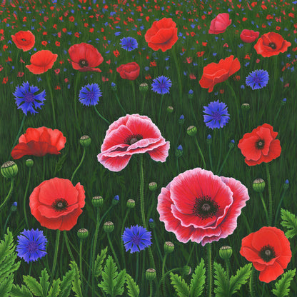 Flowers Of The Field