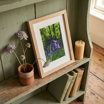 One Among Many Limited Edition Print