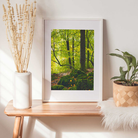 Heart Of The Forest Print