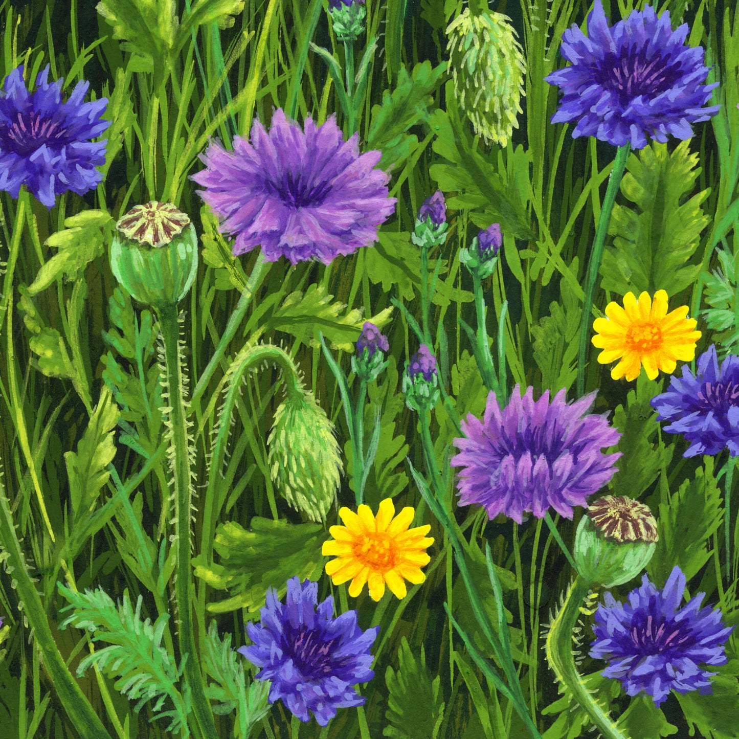 Meadow Dance