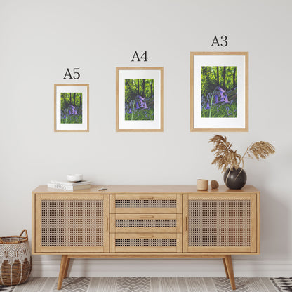 One Among Many Limited Edition Print