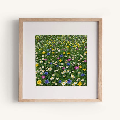 Sunshine And Daisies