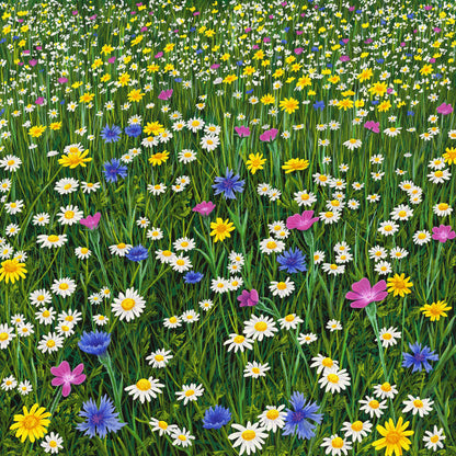 Sunshine And Daisies