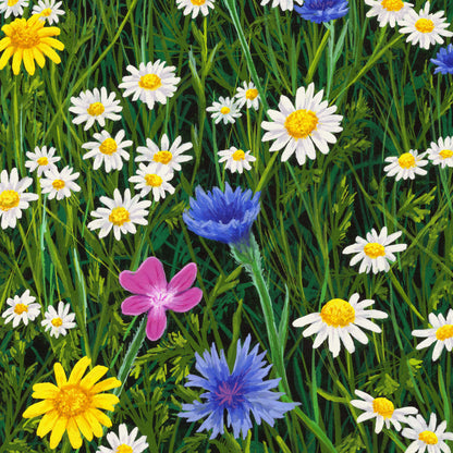 Sunshine And Daisies