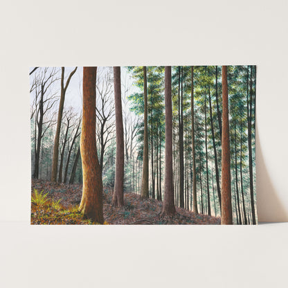 The Whispering Woods Print