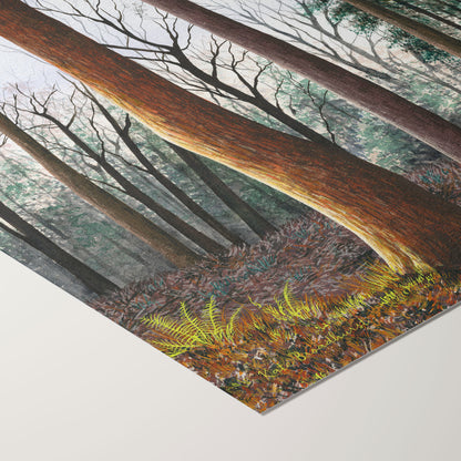 The Whispering Woods Print